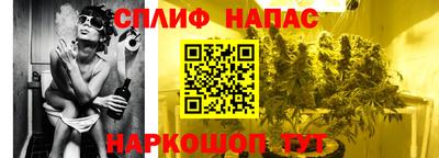 крисы Обь