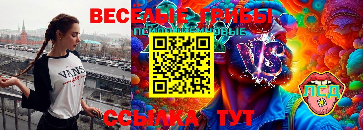 наркошоп  Вход с VPN  Санкт-Петербург  Псилоцибиновые грибы ЛСД 